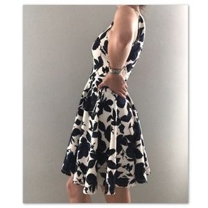 V Neck Fit n Flare Soprano Pleated Dress